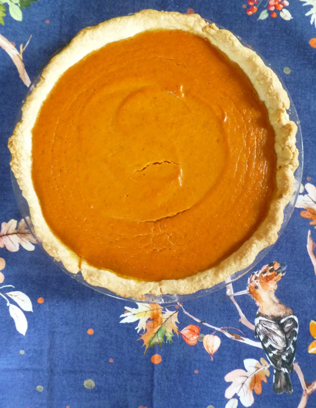 Pumpkin Pie