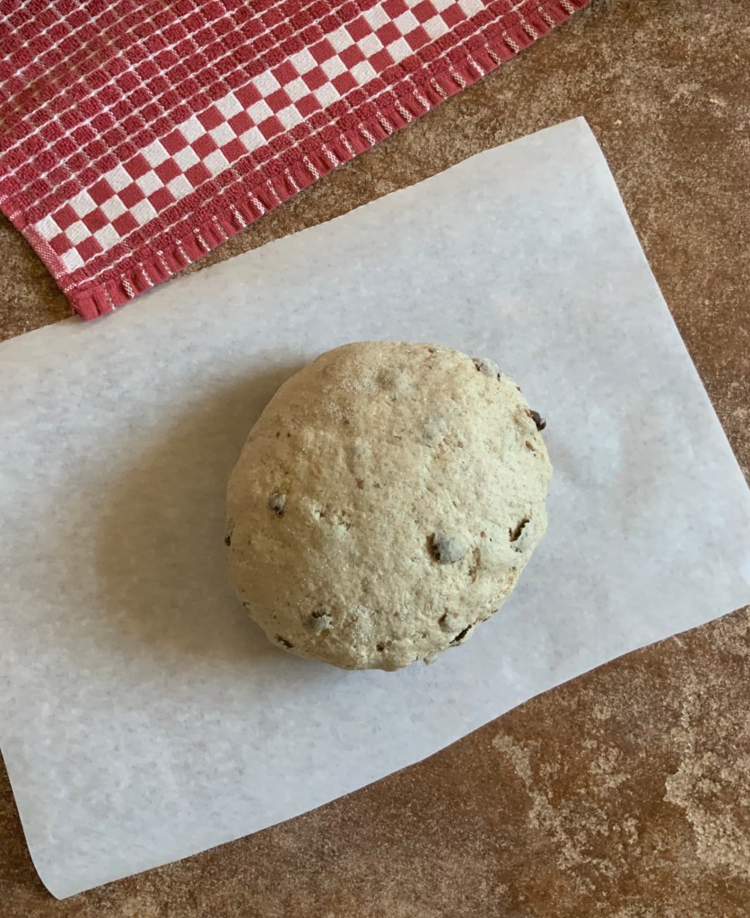 Raisin bread after brief knead on floured bowl before first rise in bowl