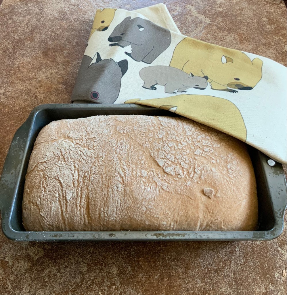 rise in warm place grant loaf this was 1 hour