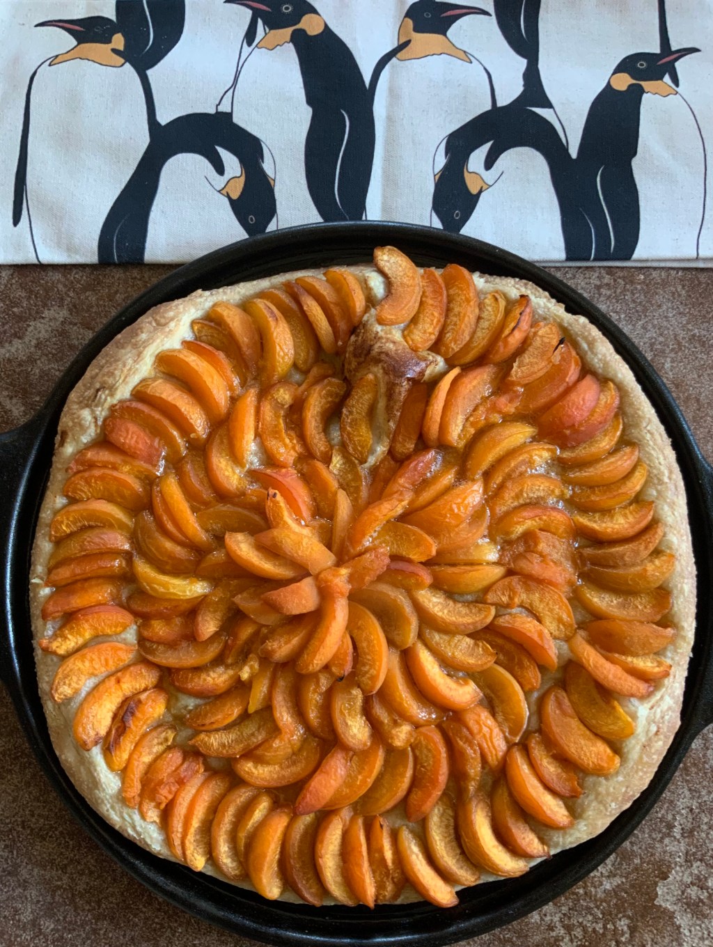 Swiss Apricot Tart ~ when a fruit tart is not&nbsp;dessert