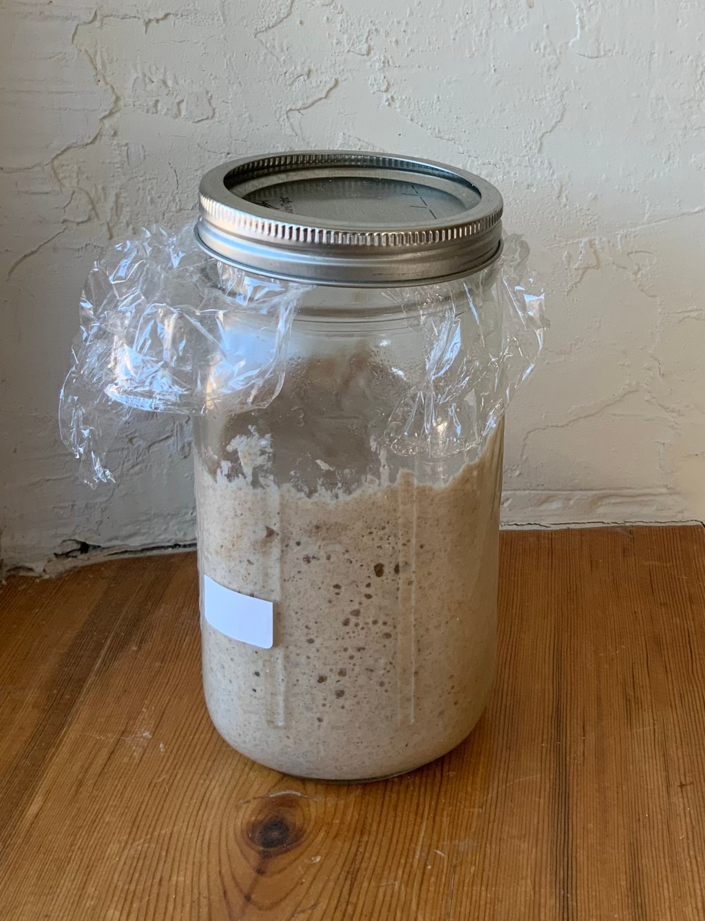 Sourdough Starter