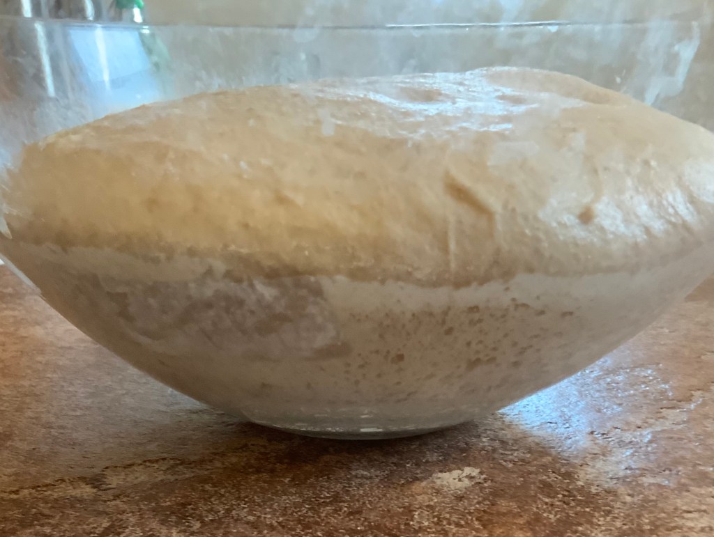 Bulk fermented side view. Marker shown here off center is completely covered and done I doubled from base
