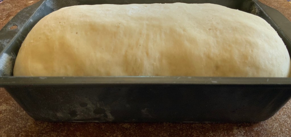 Hard wheat rise ready to bake