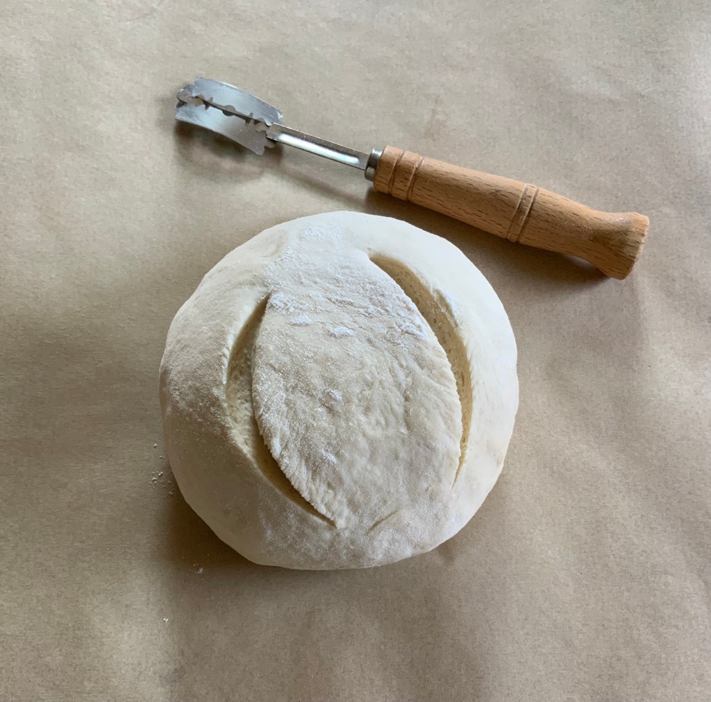 White beer bread after 1 rise cut before 2nd rise